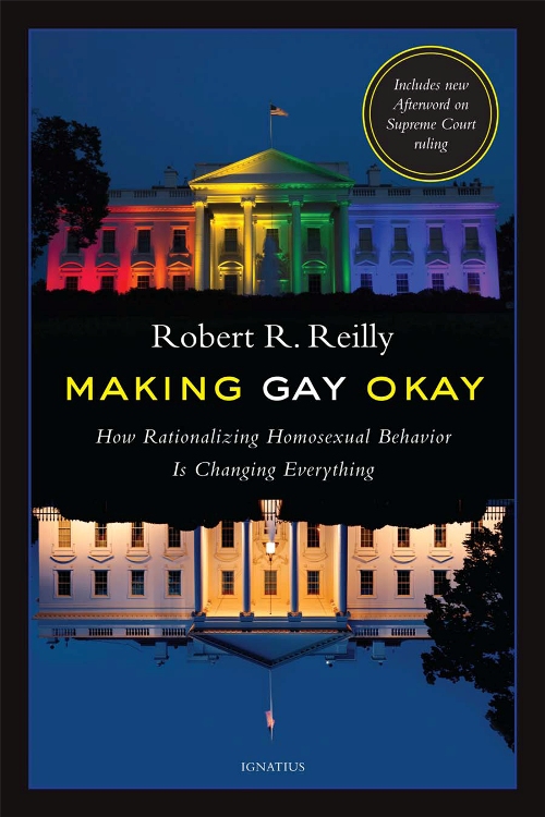 Making Gay Ok Book