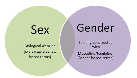 Different Between Sex And Gender 29